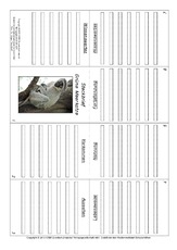 Faltbuch-Grüne Meerkatze.pdf